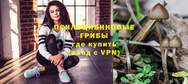 apvp Зерноград