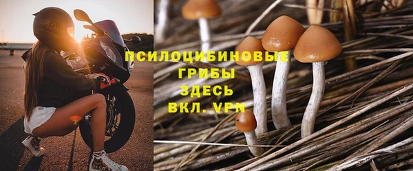 apvp Зерноград
