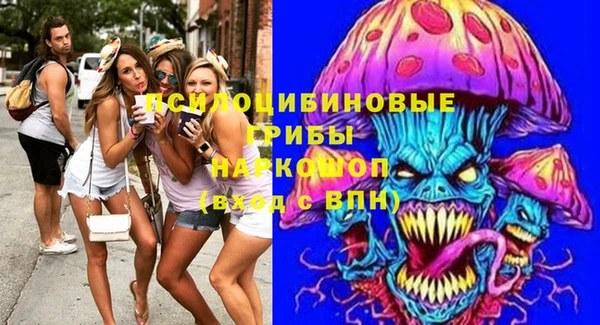 соль курить ск Инсар